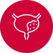 Bladder cancer icon